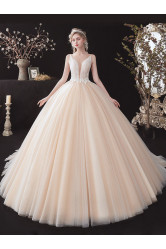 Champagne Spaghetti Wedding Dresses, lovely V-neck Bride Dresses GW-015