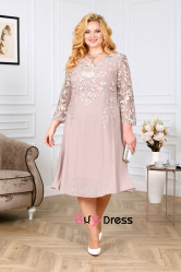 Glamorous Pearl Pink Chiffon Plus Size Mother Of The Bride Dresses MD0005
