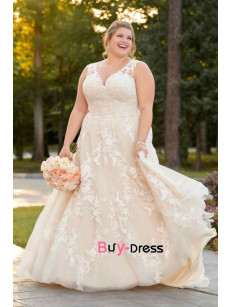 2023 Elegant Plus Size A-line Lace Wedding Dresses, Empire Bride Dresses bds-0042