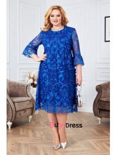 2024 Loose Style Half Sleeves Royal Blue Lace Plus Size Mother Of The Bride Dresses MD0025-2