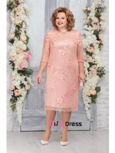 Plus Size Blush Pink Lace Mother Of The Bride Dresses, Dressy Half Sleeves Women's Dresses MD0051