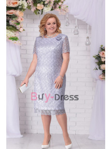 Plus Size Silver Gray Mother of the Bride Lace Dresses MD2263